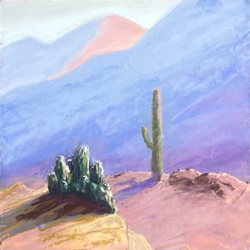Cacti on a hillside with mountains in the background