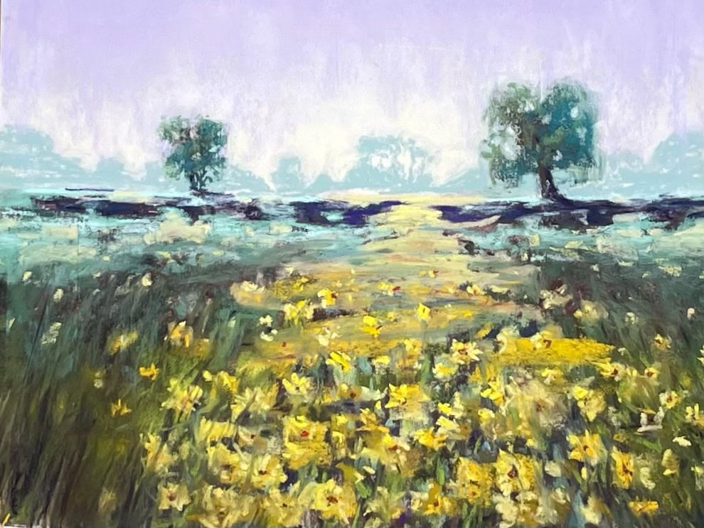 Field of daisies with trees in the distance