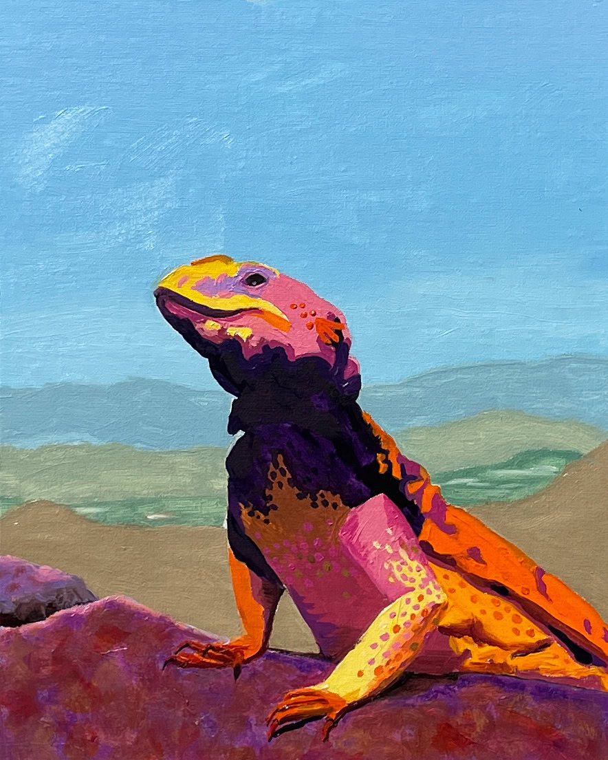 Oil painting of a brightly colored chuckwalla on a rock with the lowlands in the distance